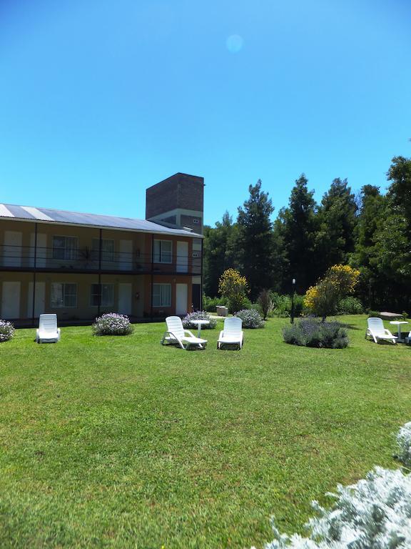 Lomas & Chascomús